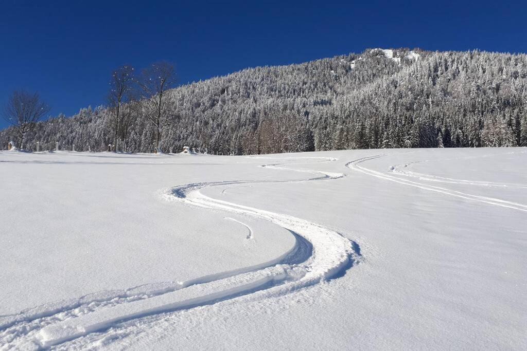 Appartment Dutzler Sankt Martin am Tennengebirge Exteriör bild
