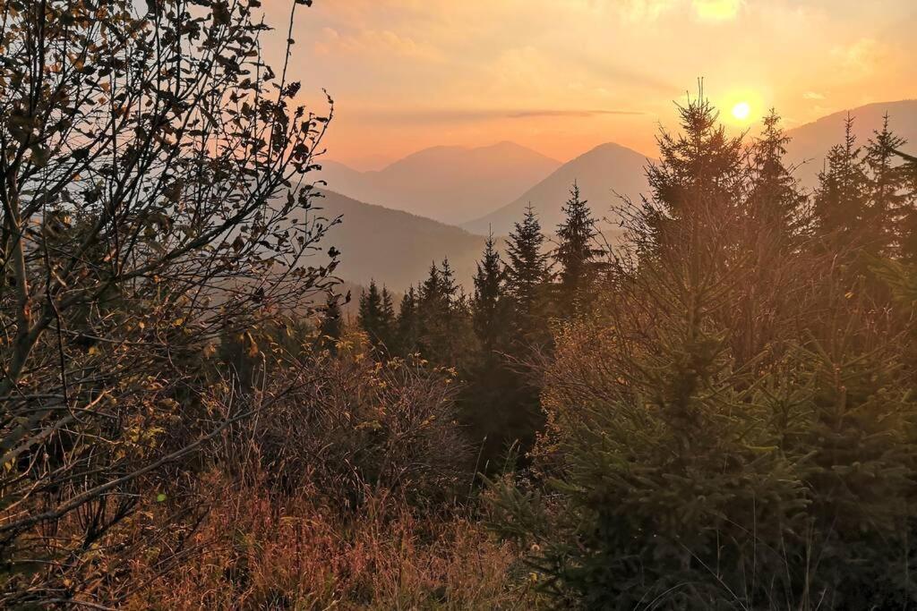 Appartment Dutzler Sankt Martin am Tennengebirge Exteriör bild